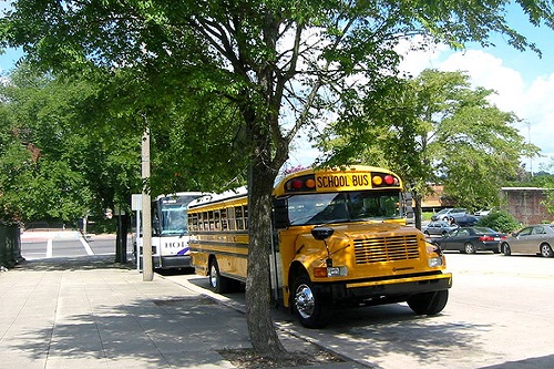 School bus